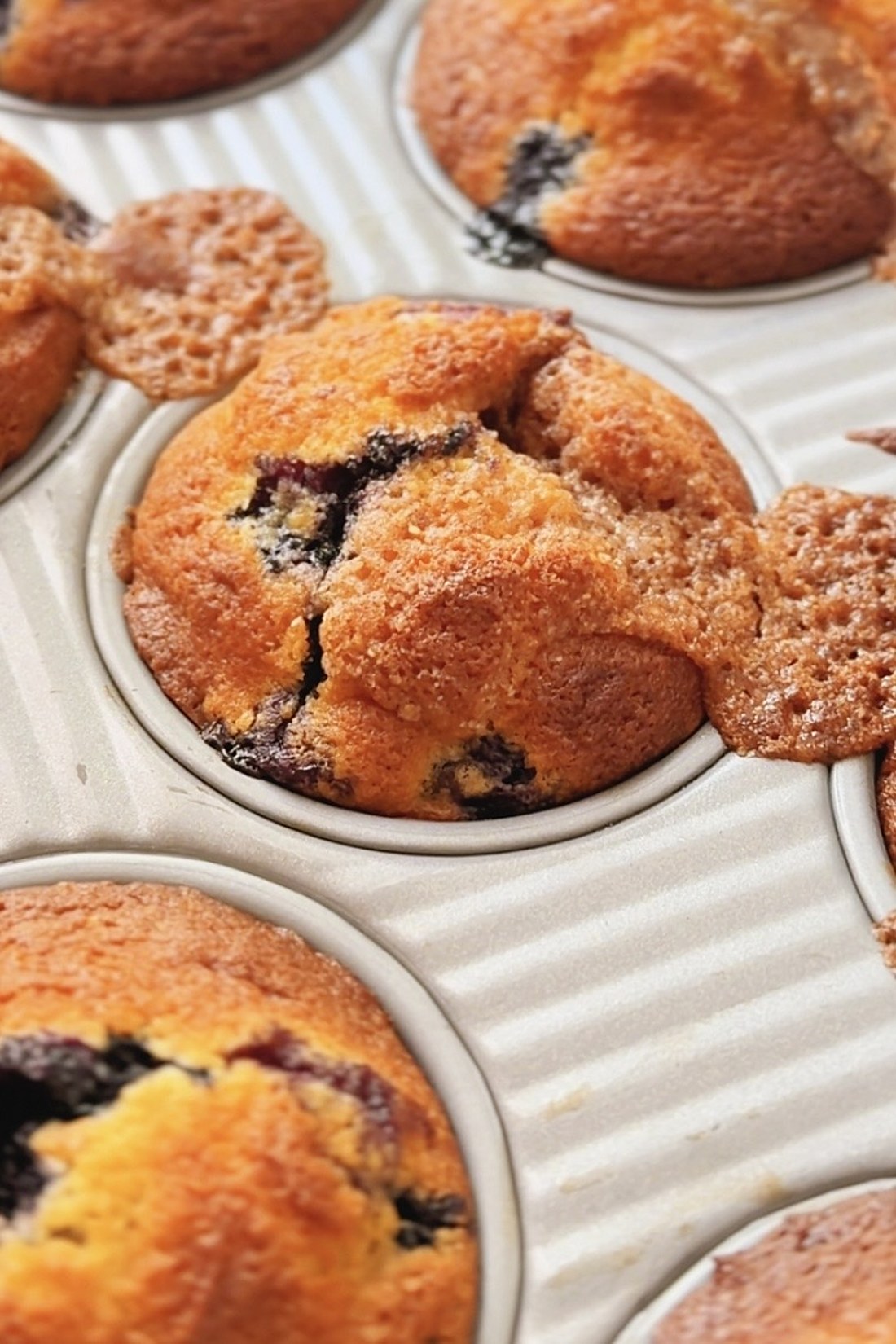 Blueberry muffins with cinnamon streusel baked golden in a muffin pan