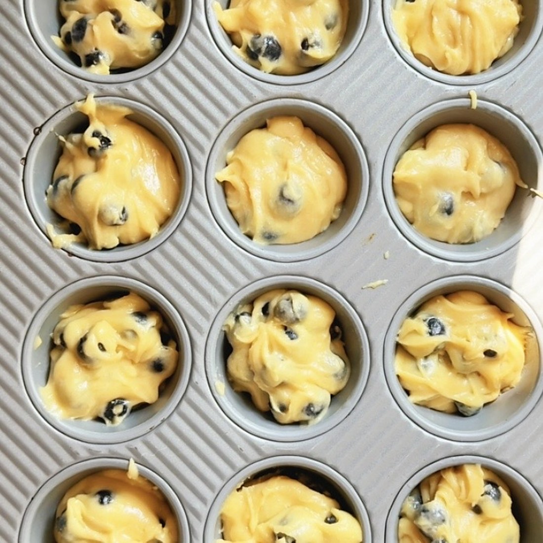 Blueberry muffin batter spooned into a twelve cup muffin pan